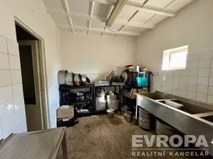 Pronájem restaurace, Plzeň - Doudlevce, Srázná, 90 m2