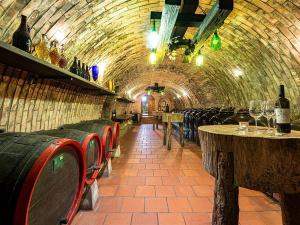 Prodej komerční, Velké Bílovice, 508 m2