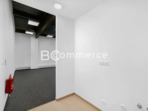 Pronájem skladu, Brno, Vinohradská, 446 m2