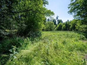 Prodej pozemku pro bydlení, Choustník, 114846 m2