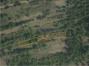 Dražba pole, Suchov, 3147 m2