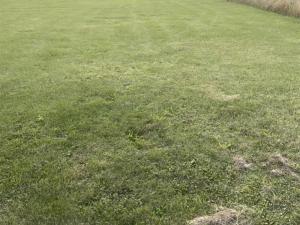 Prodej pozemku pro bydlení, Vavřinec, 1304 m2