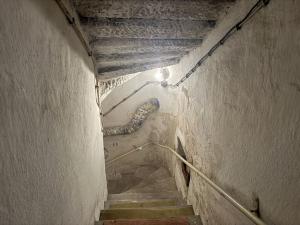 Prodej rodinného domu, Pavlíkov - Ryšín, 436 m2