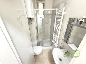 Pronájem bytu 2+kk, Praha - Žižkov, Vlkova, 39 m2