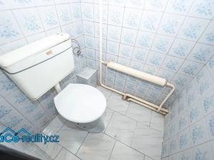 Prodej zemědělské usedlosti, Zdelov, 255 m2