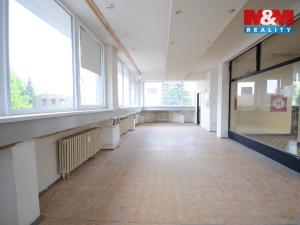 Pronájem kanceláře, Rychnov nad Kněžnou, Havlíčkova, 55 m2