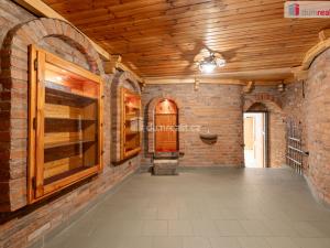 Prodej obchodního prostoru, Mladá Boleslav - Mladá Boleslav III, Viničná, 107 m2