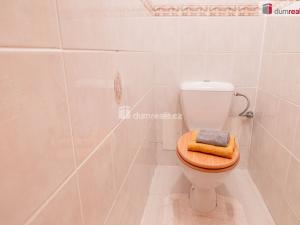 Prodej rodinného domu, Mladá Boleslav - Mladá Boleslav III, Viničná, 350 m2