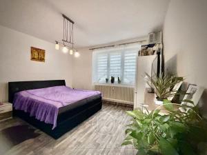 Prodej bytu 3+1, Kozolupy, 88 m2