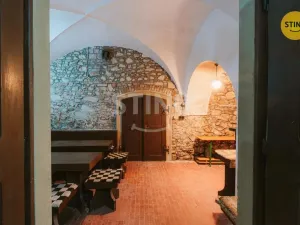 Prodej historického objektu, Mikulov, Na Jámě, 361 m2