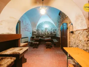 Prodej historického objektu, Mikulov, Na Jámě, 361 m2