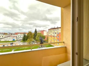 Prodej bytu 2+1, Cheb, Kosmonautů, 51 m2