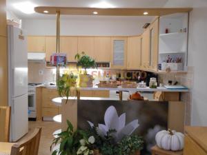 Prodej bytu 3+1, Opočno, Podzámčí, 88 m2