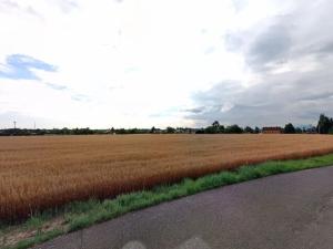 Prodej pozemku pro bydlení, Ostrava, 1164 m2