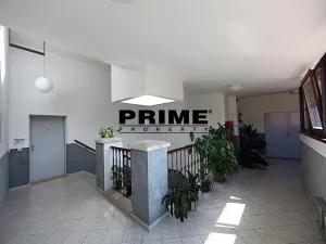 Pronájem kanceláře, Praha - Smíchov, Štefánikova, 55 m2