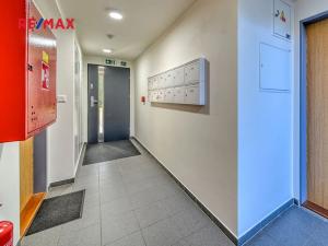 Prodej bytu 2+1, Lošany, 51 m2