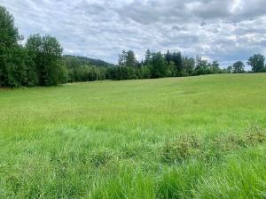 Prodej rodinného domu, Bujanov, 480 m2