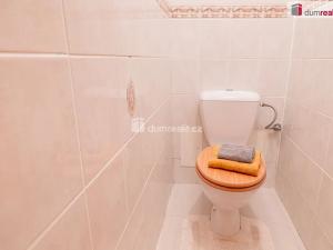 Prodej rodinného domu, Mladá Boleslav, Viničná, 350 m2