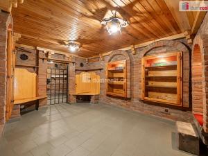 Prodej obchodního prostoru, Mladá Boleslav, Viničná, 107 m2