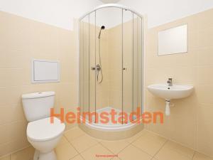 Pronájem bytu 1+kk, Karviná - Hranice, Slovenská, 35 m2