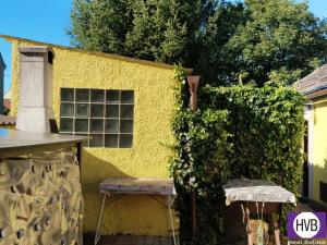 Prodej rodinného domu, Blovice, Pod Lékárnou, 100 m2