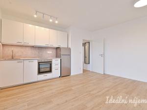 Pronájem bytu 1+kk, Brno, Auerswaldova, 29 m2