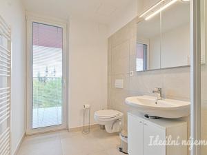 Pronájem bytu 1+kk, Brno, Auerswaldova, 29 m2