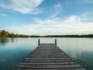 Prodej pozemku pro bydlení, Frymburk, 268 m2