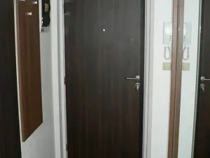 Pronájem bytu 1+kk, Brno, Hybešova, 37 m2