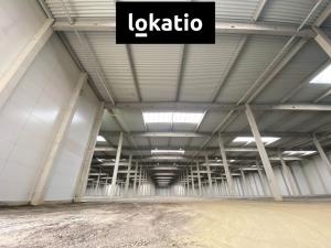 Pronájem skladu, Ostrava, 3404 m2