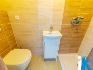 Prodej rodinného domu, Prostějov, V loučkách, 180 m2