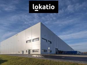 Pronájem výrobních prostor, Ostrava - Hrušov, 3404 m2