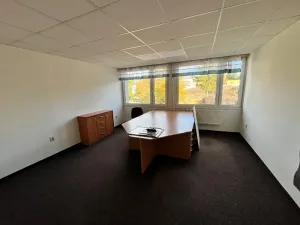 Pronájem obchodního prostoru, Jihlava, Kosovská, 250 m2