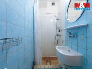 Prodej bytu 1+kk, Praha - Strašnice, Královická, 25 m2