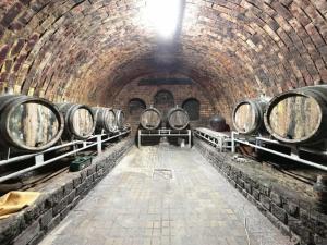 Prodej vinného sklepa, Mutěnice, 120 m2