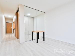 Pronájem bytu 1+kk, Brno, Dornych, 39 m2