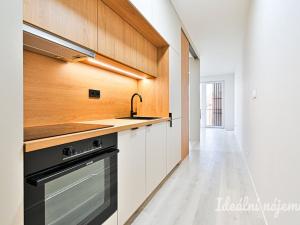 Pronájem bytu 1+kk, Brno, Dornych, 39 m2