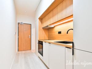 Pronájem bytu 1+kk, Brno, Dornych, 39 m2