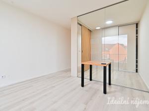 Pronájem bytu 1+kk, Brno, Dornych, 39 m2