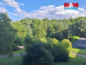 Pronájem bytu 1+kk, Hrabyně, 42 m2