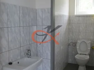 Pronájem skladu, Valašské Meziříčí, M. Alše, 362 m2