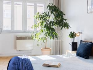 Prodej bytu 2+1, Praha - Vysočany, Novovysočanská, 50 m2