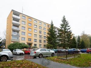 Prodej bytu 3+1, Sokolov, Švabinského, 66 m2