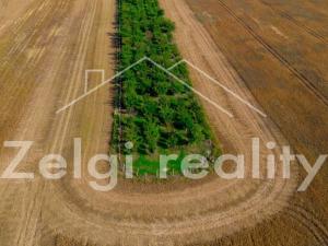 Prodej sadu/vinice, Zaječí, 8494 m2