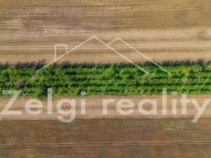 Prodej sadu/vinice, Zaječí, 8494 m2