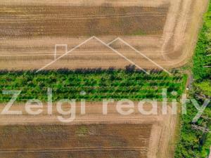 Prodej sadu/vinice, Zaječí, 8494 m2