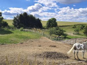 Prodej rodinného domu, Kamenná Horka, 273 m2