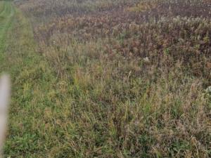 Prodej pole, Dubňany, 2371 m2