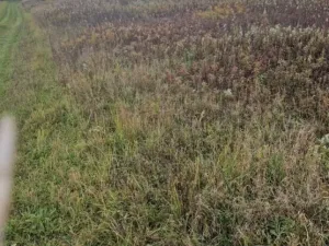 Prodej pole, Dubňany, 2371 m2