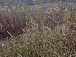 Prodej pole, Dubňany, 2371 m2